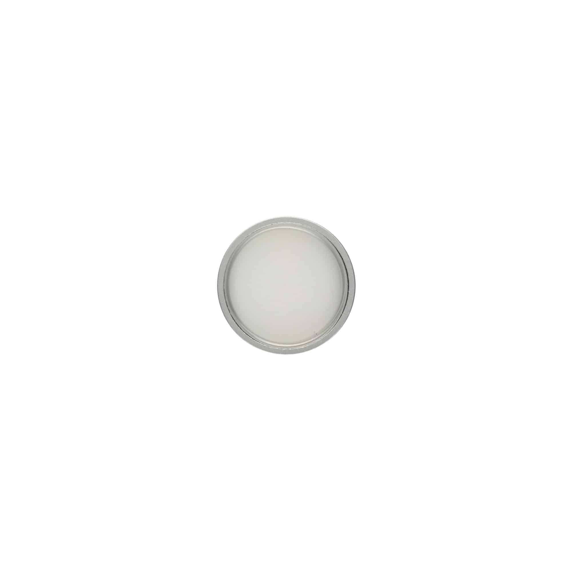 Sriegiamas dangtelis, ABS plastikas, matinė sidabrinė, kakleliui: GPI 33/401