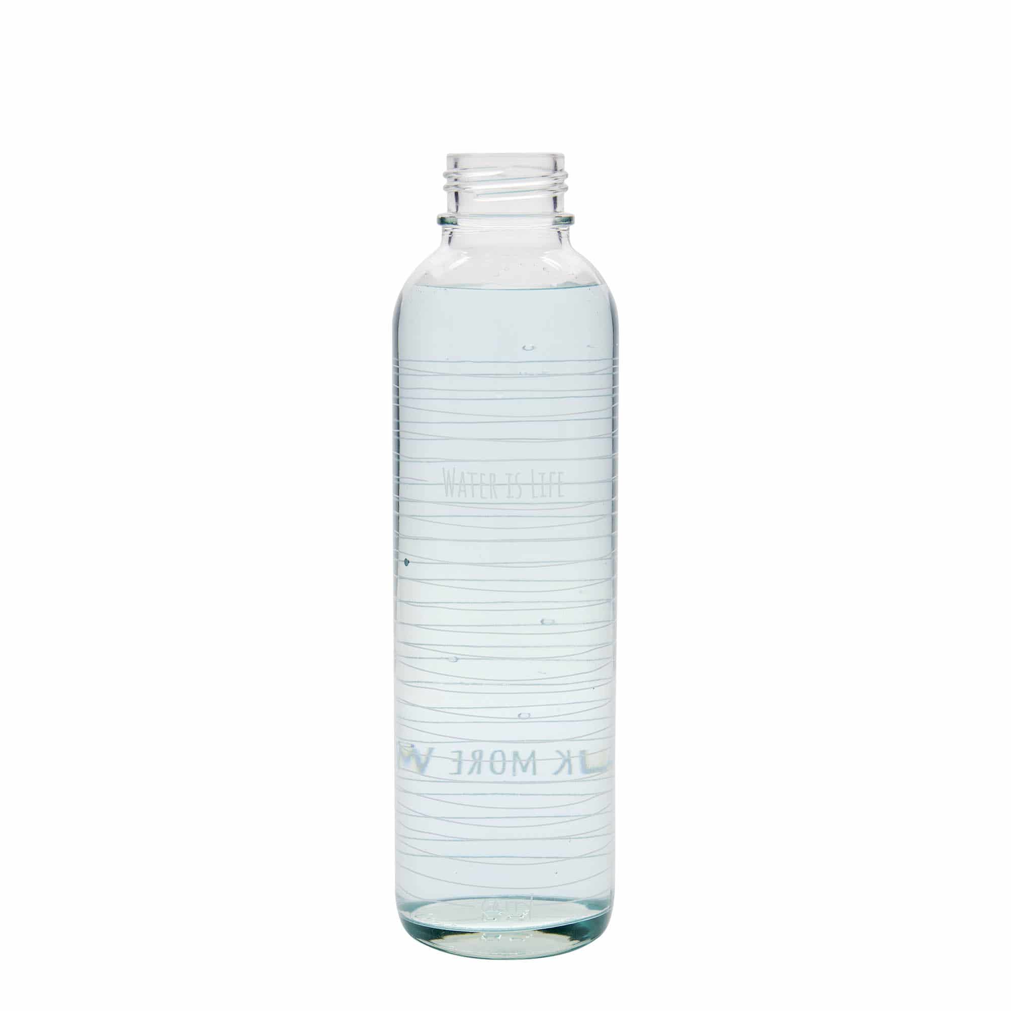 700 ml ūdens pudele CARRY Bottle, motīvs: Water is Life, aizdare: skrūvējams vāciņš 700 ml ūdens pudele CARRY Bottle, motīvs: Water is Life, aizdare: skrūvējams vāciņš